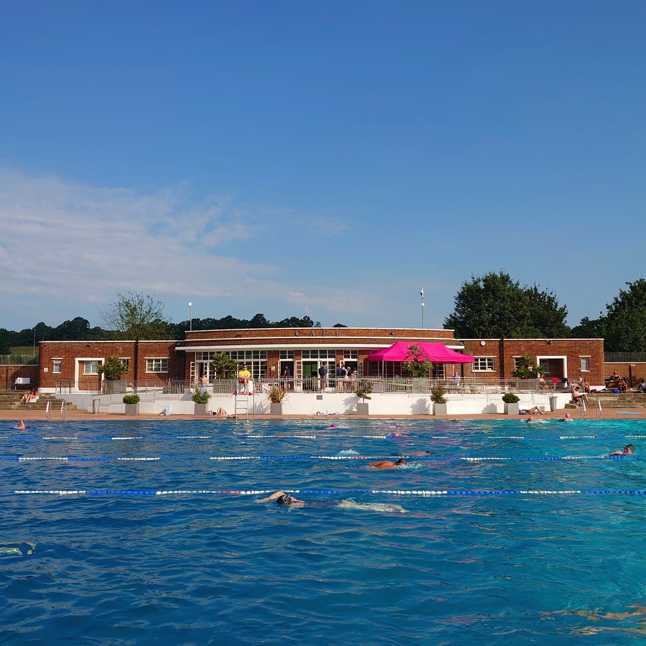 f:id:tomoeagle:20210720013148j:plain