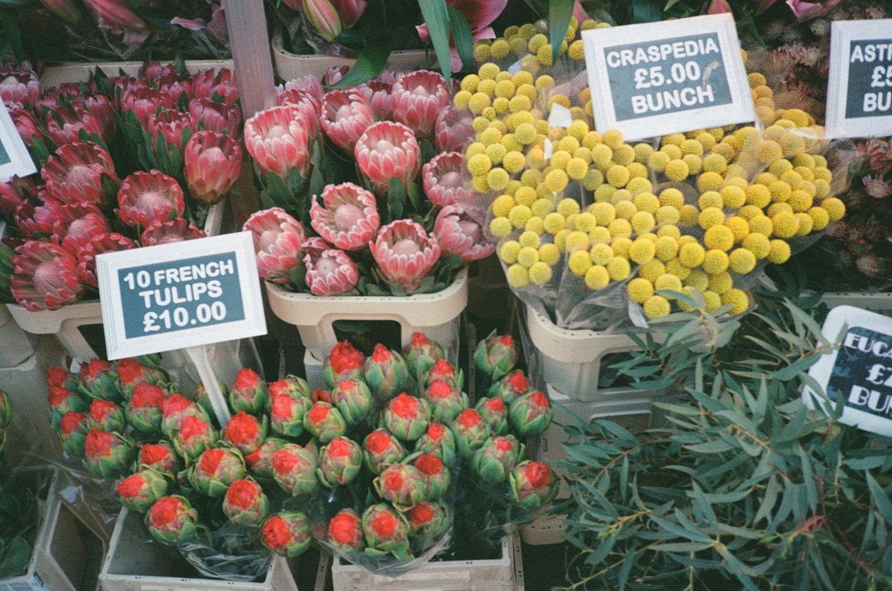 f:id:tomoeagle:20210729195003j:plain