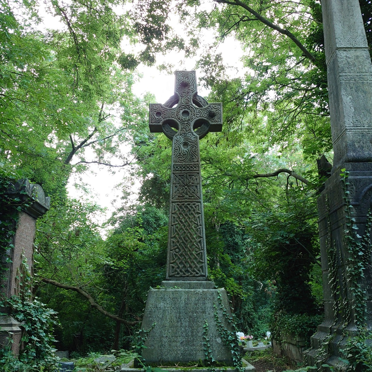 f:id:tomoeagle:20210805061432j:plain