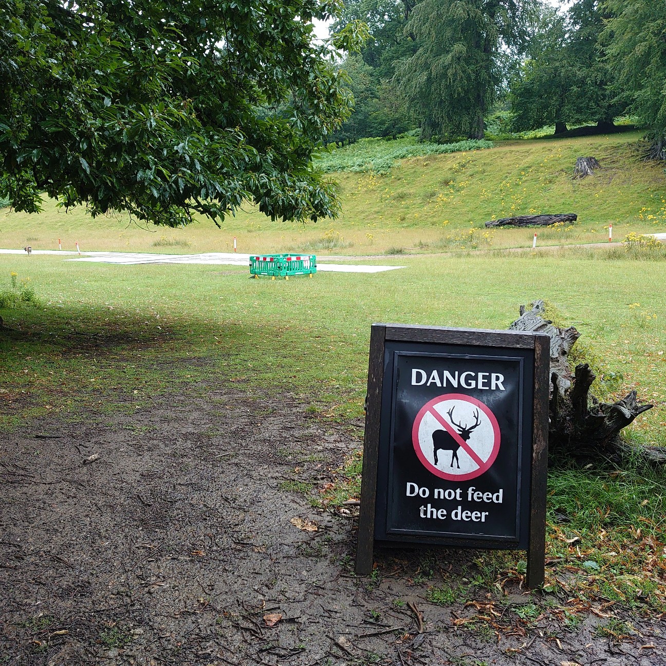 f:id:tomoeagle:20210812005401j:plain