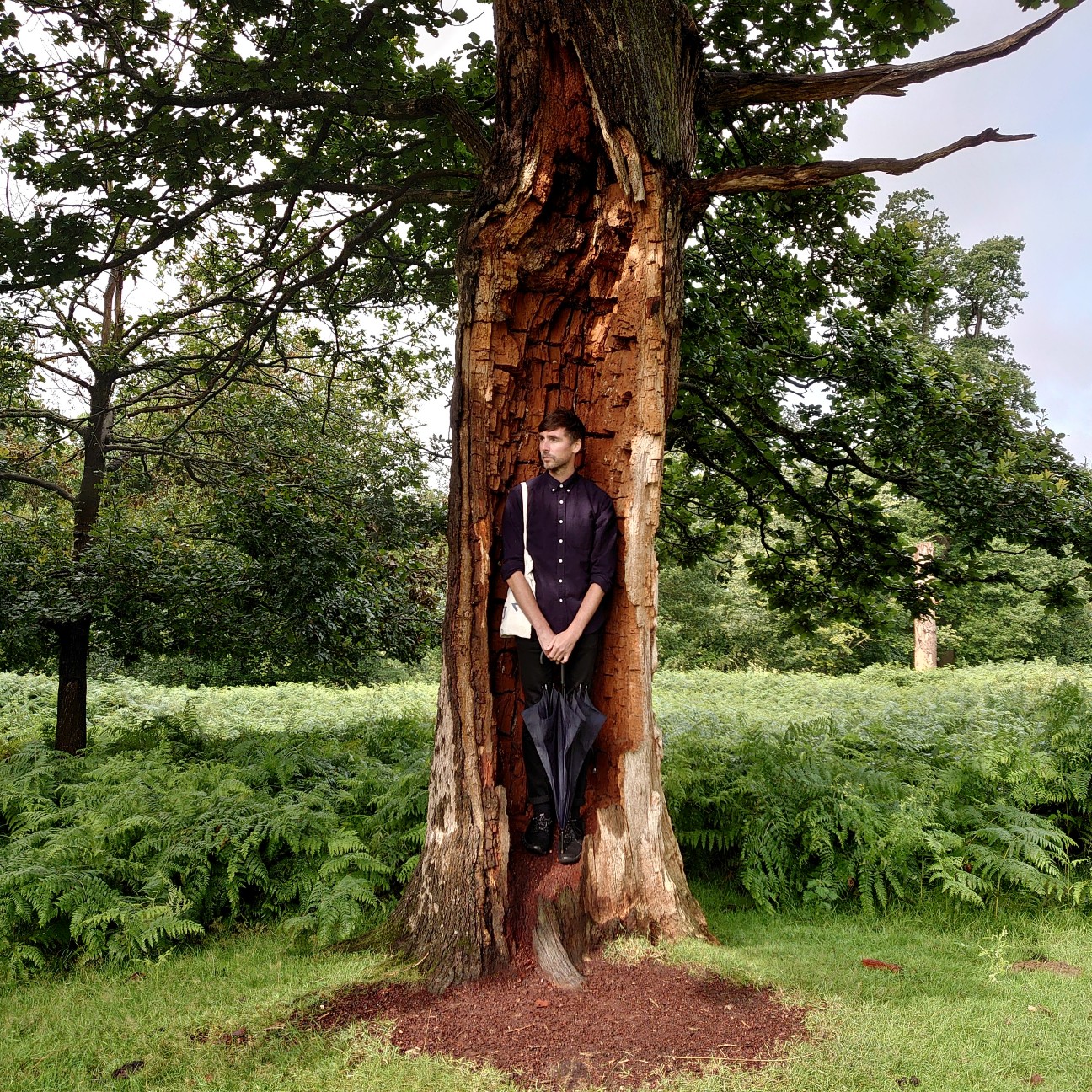 f:id:tomoeagle:20210812005403j:plain