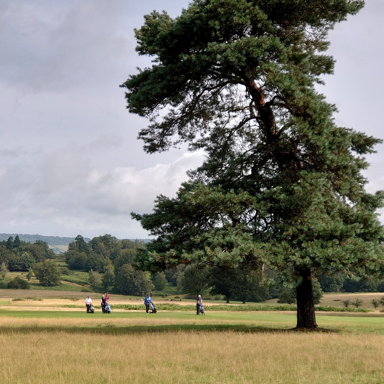 f:id:tomoeagle:20210812005530j:plain