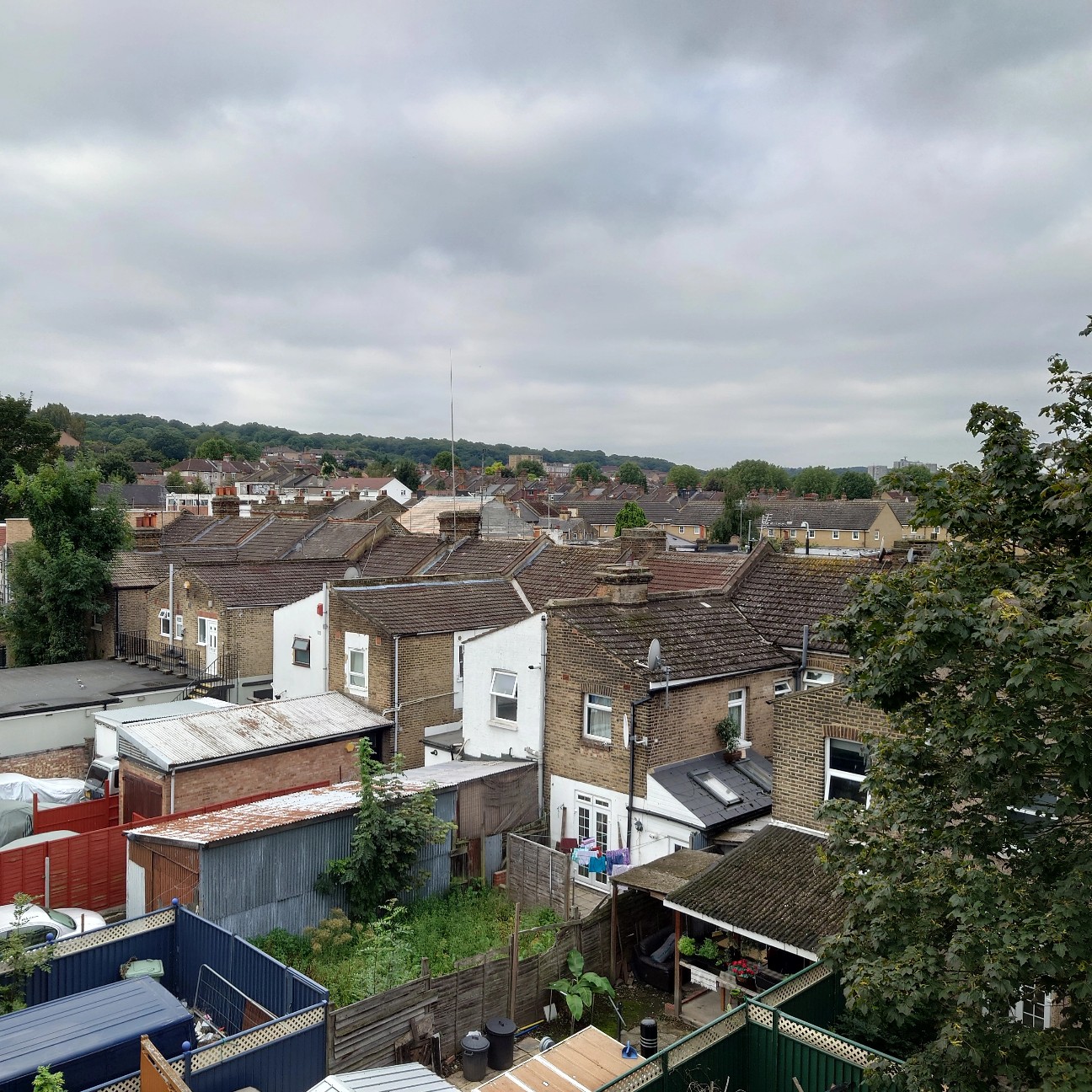 f:id:tomoeagle:20210916020345j:plain