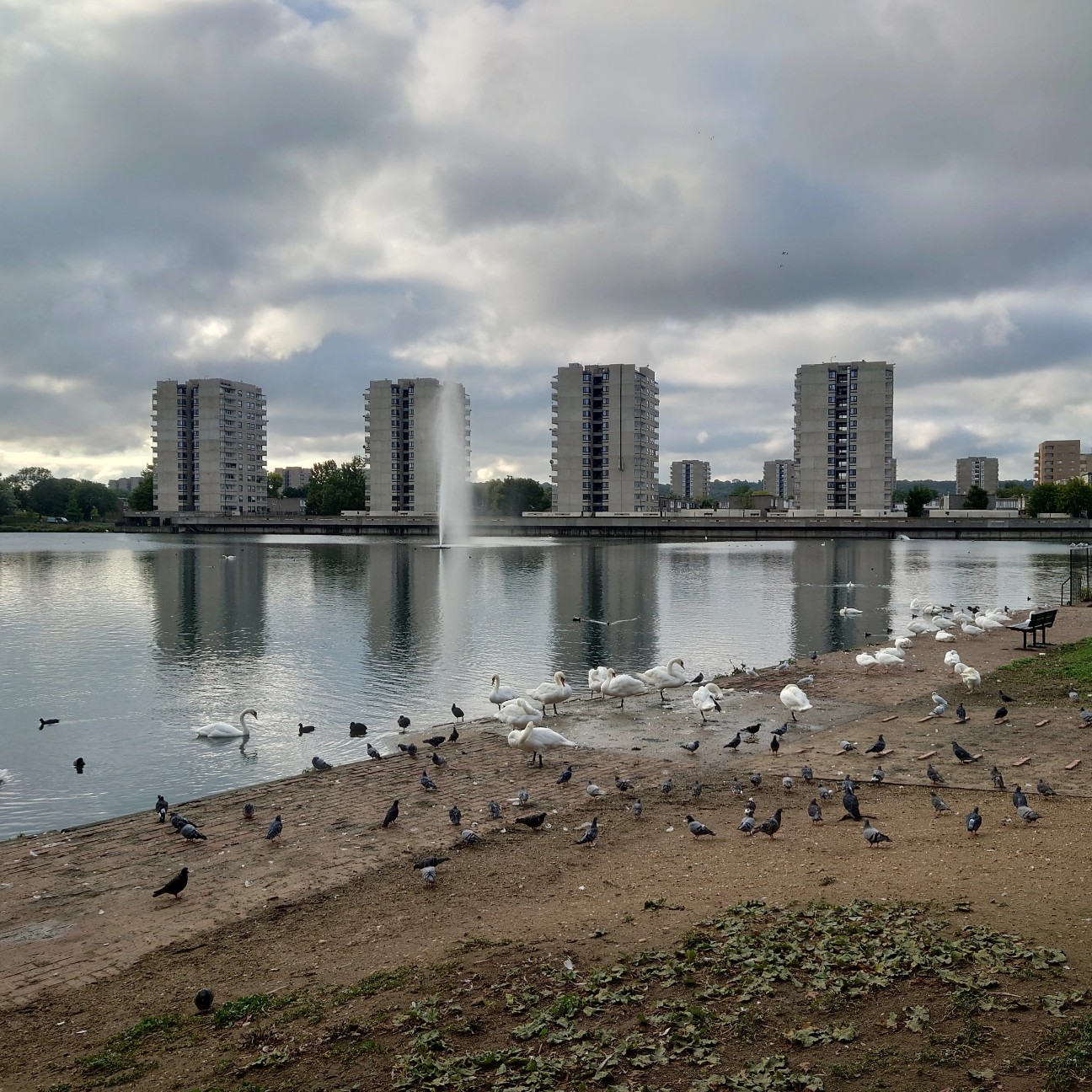 f:id:tomoeagle:20210916021529j:plain