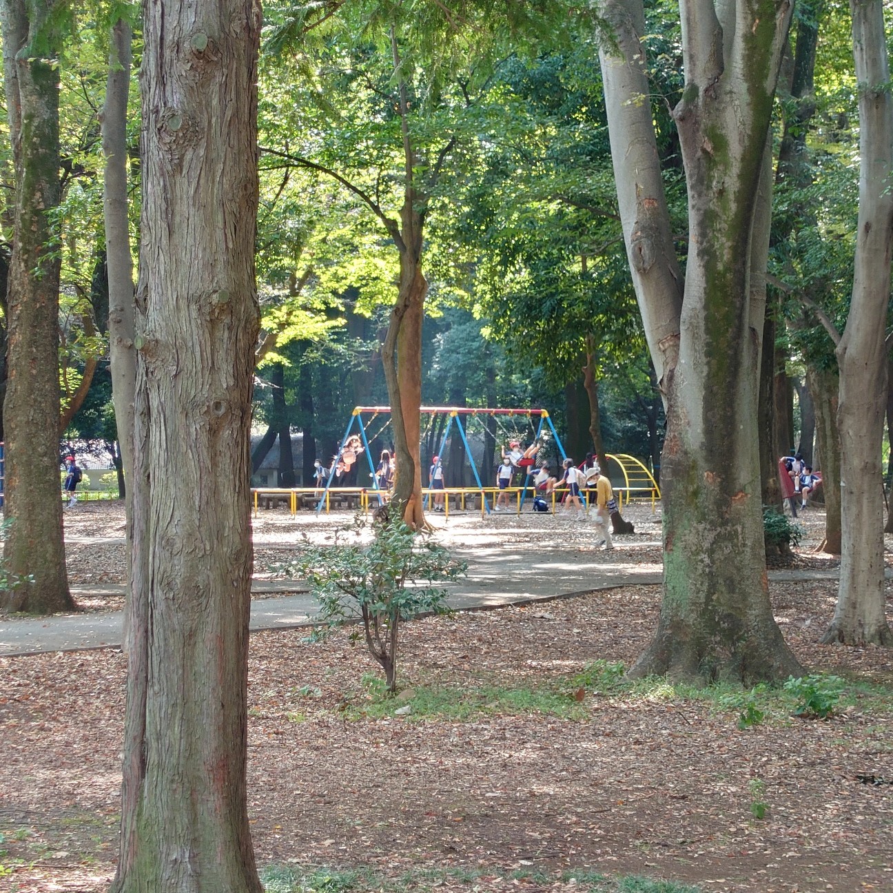 f:id:tomoeagle:20211013214349j:plain