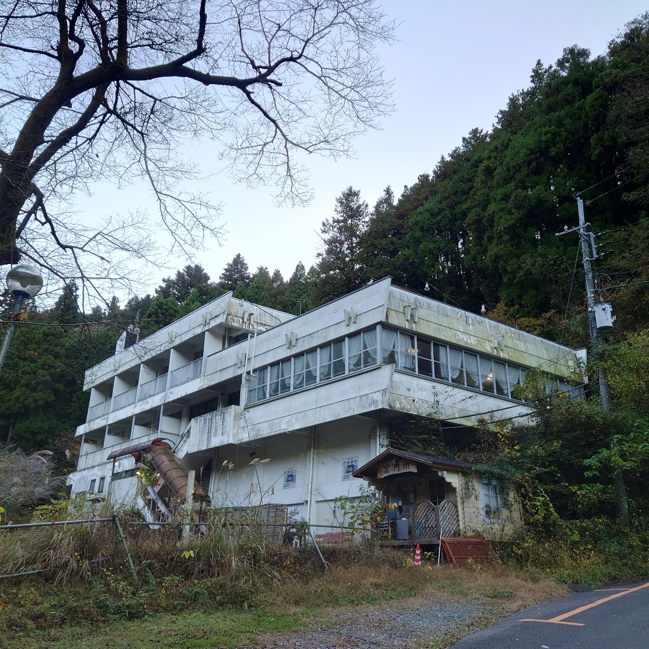 f:id:tomoeagle:20211205072646j:plain