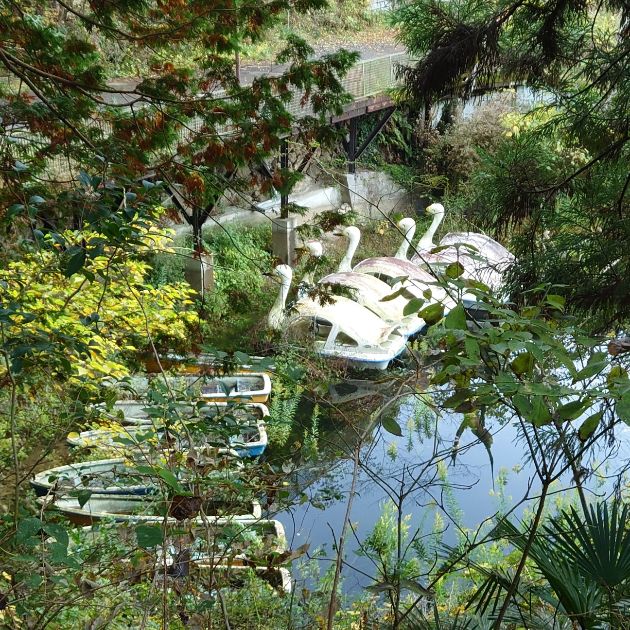 f:id:tomoeagle:20211205072659j:plain