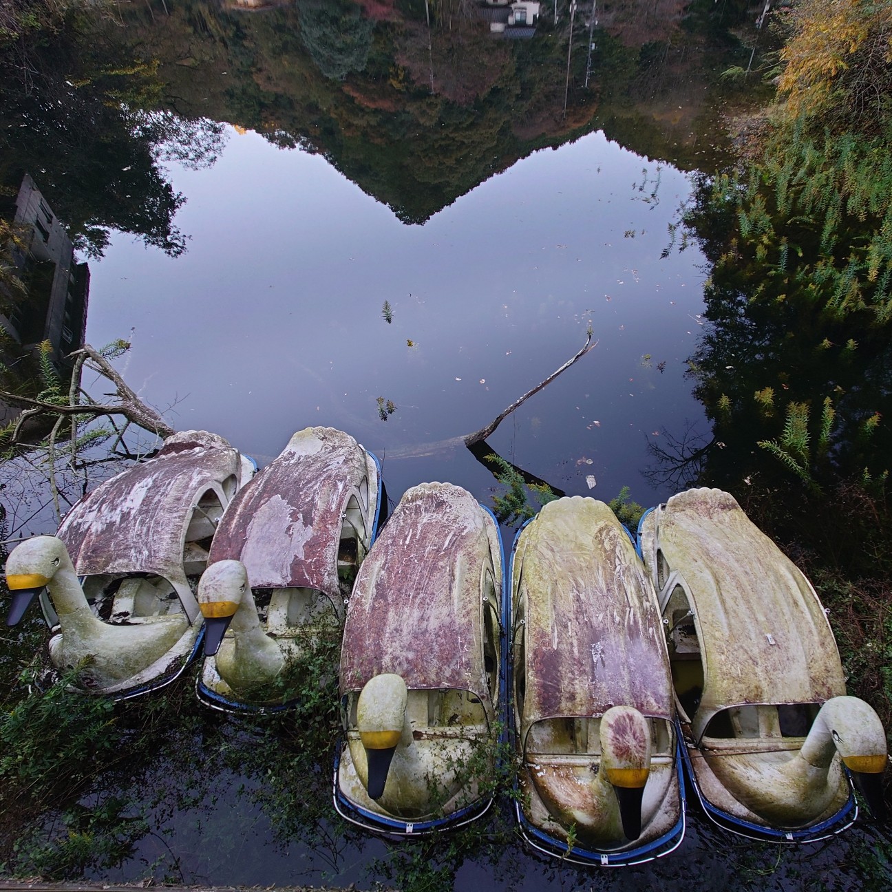 f:id:tomoeagle:20211205072710j:plain