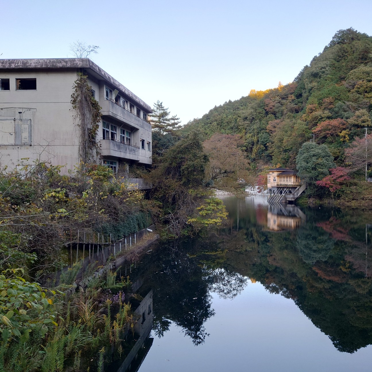 f:id:tomoeagle:20211205072719j:plain