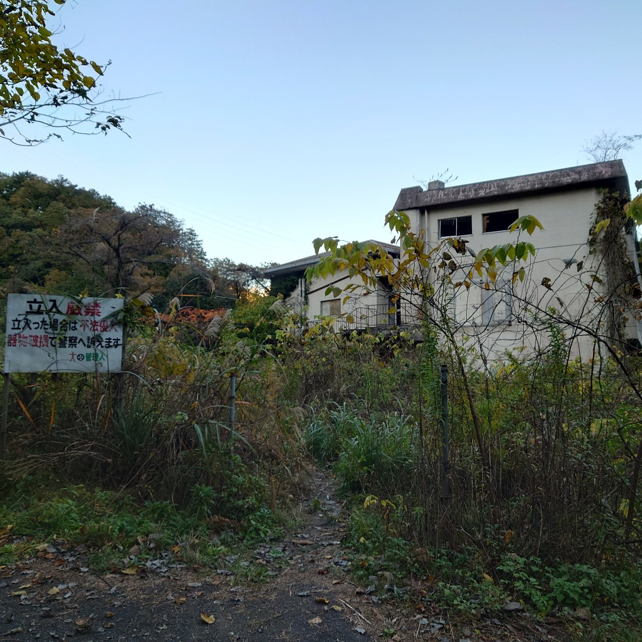 f:id:tomoeagle:20211205072726j:plain