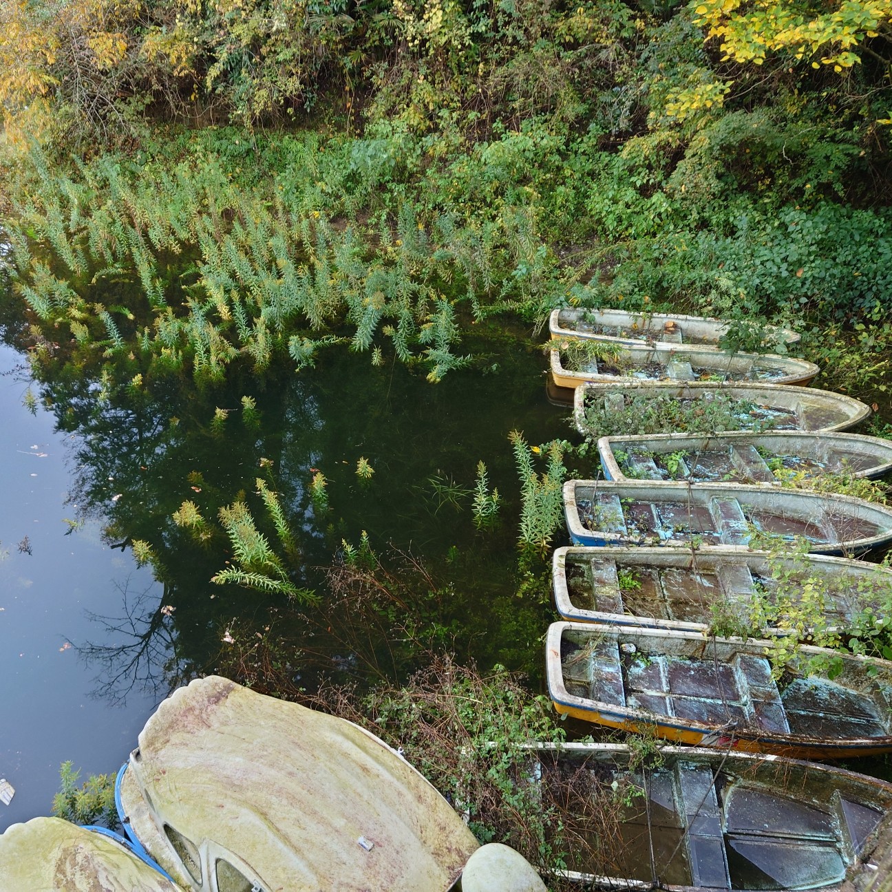 f:id:tomoeagle:20211205072814j:plain