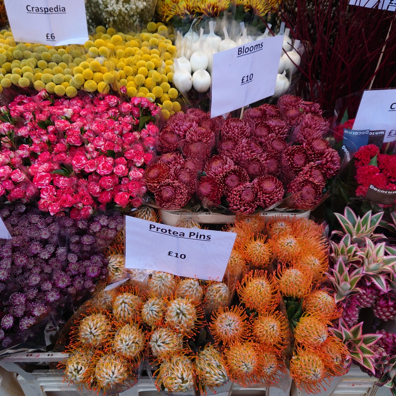 f:id:tomoeagle:20211216065528j:plain