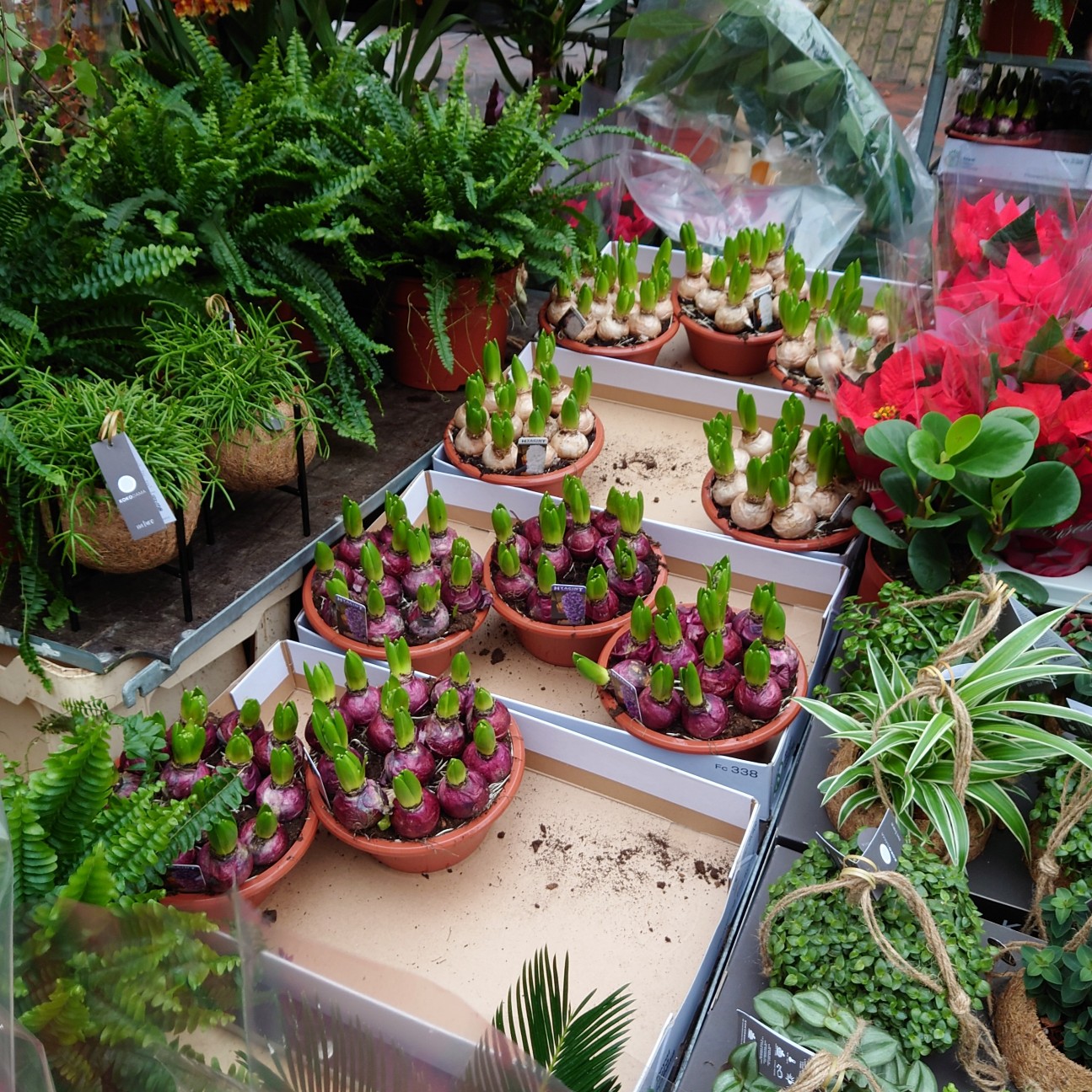 f:id:tomoeagle:20211216065534j:plain