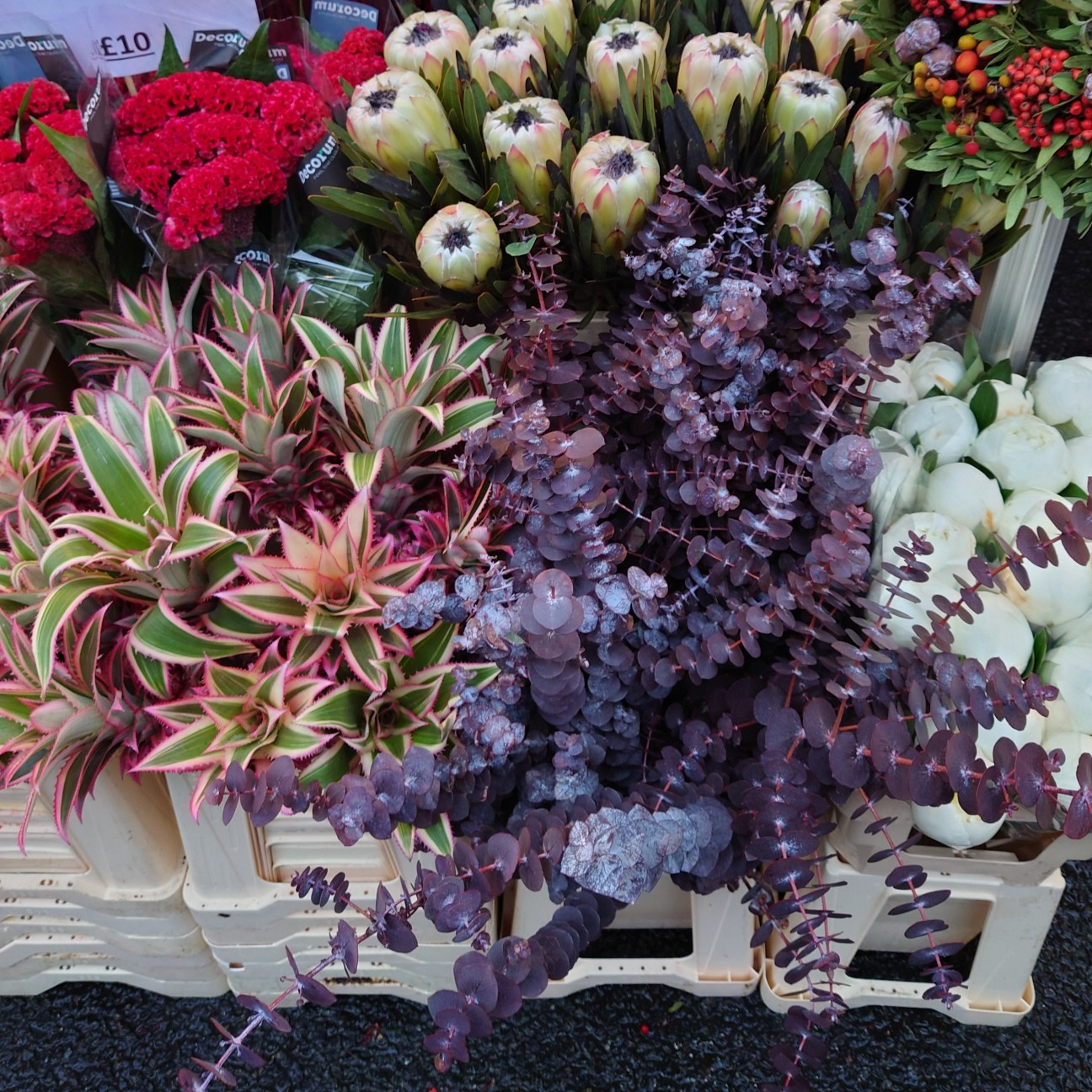 f:id:tomoeagle:20211216065539j:plain