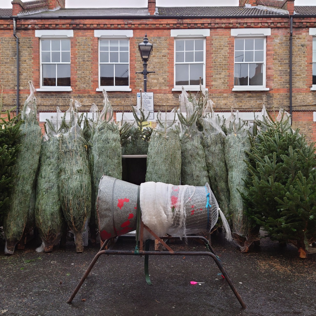 f:id:tomoeagle:20211216065558j:plain