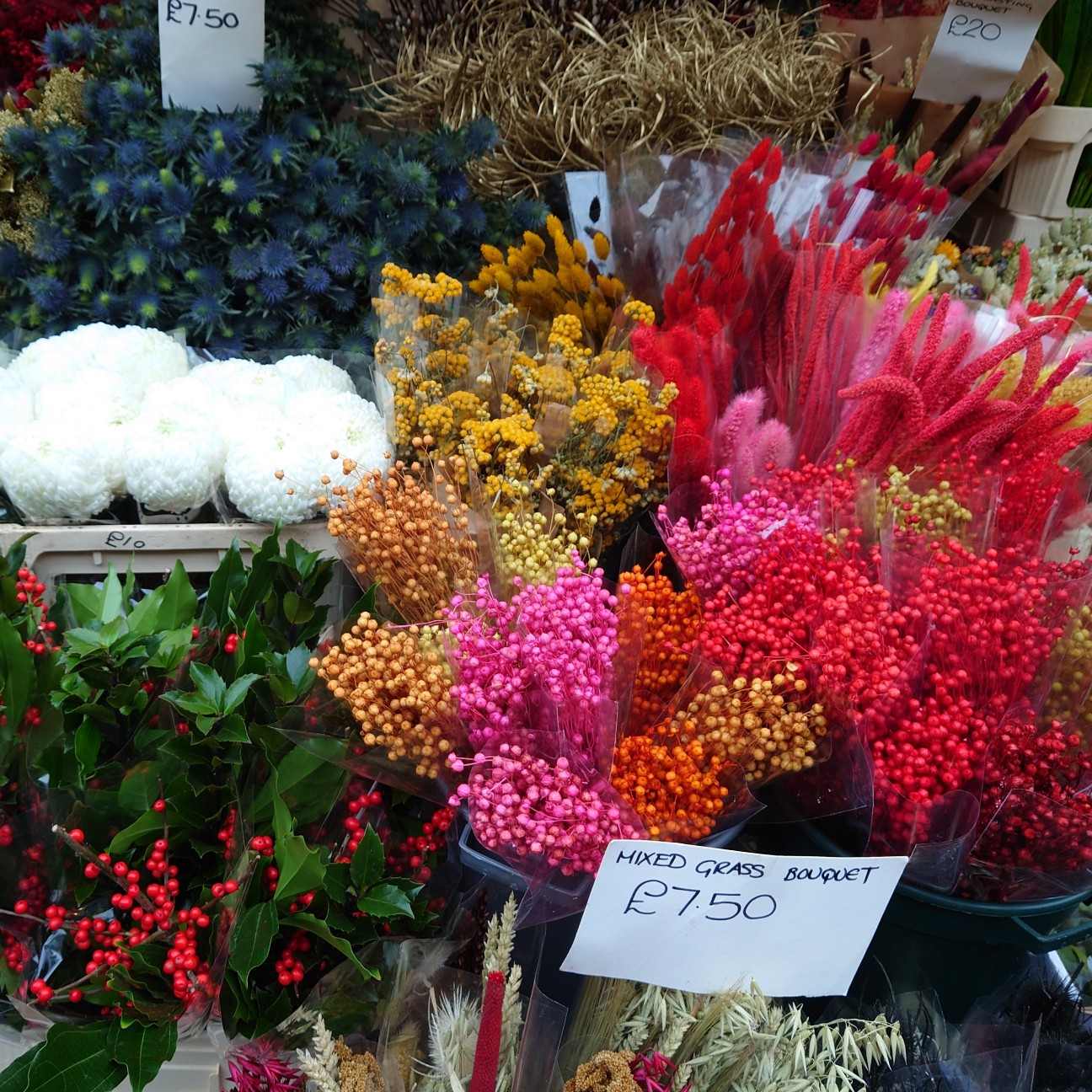 f:id:tomoeagle:20211216065623j:plain