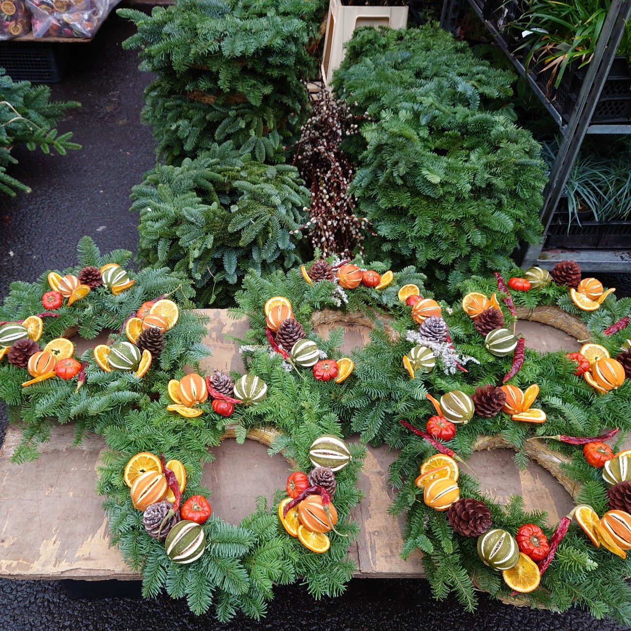 f:id:tomoeagle:20211216065653j:plain