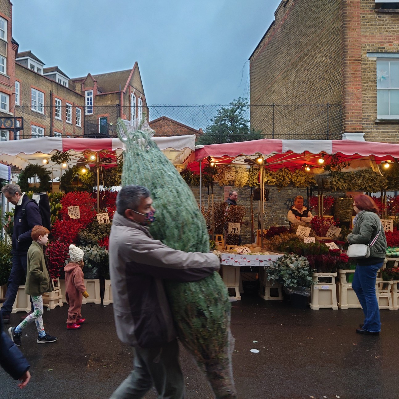 f:id:tomoeagle:20211216065700j:plain