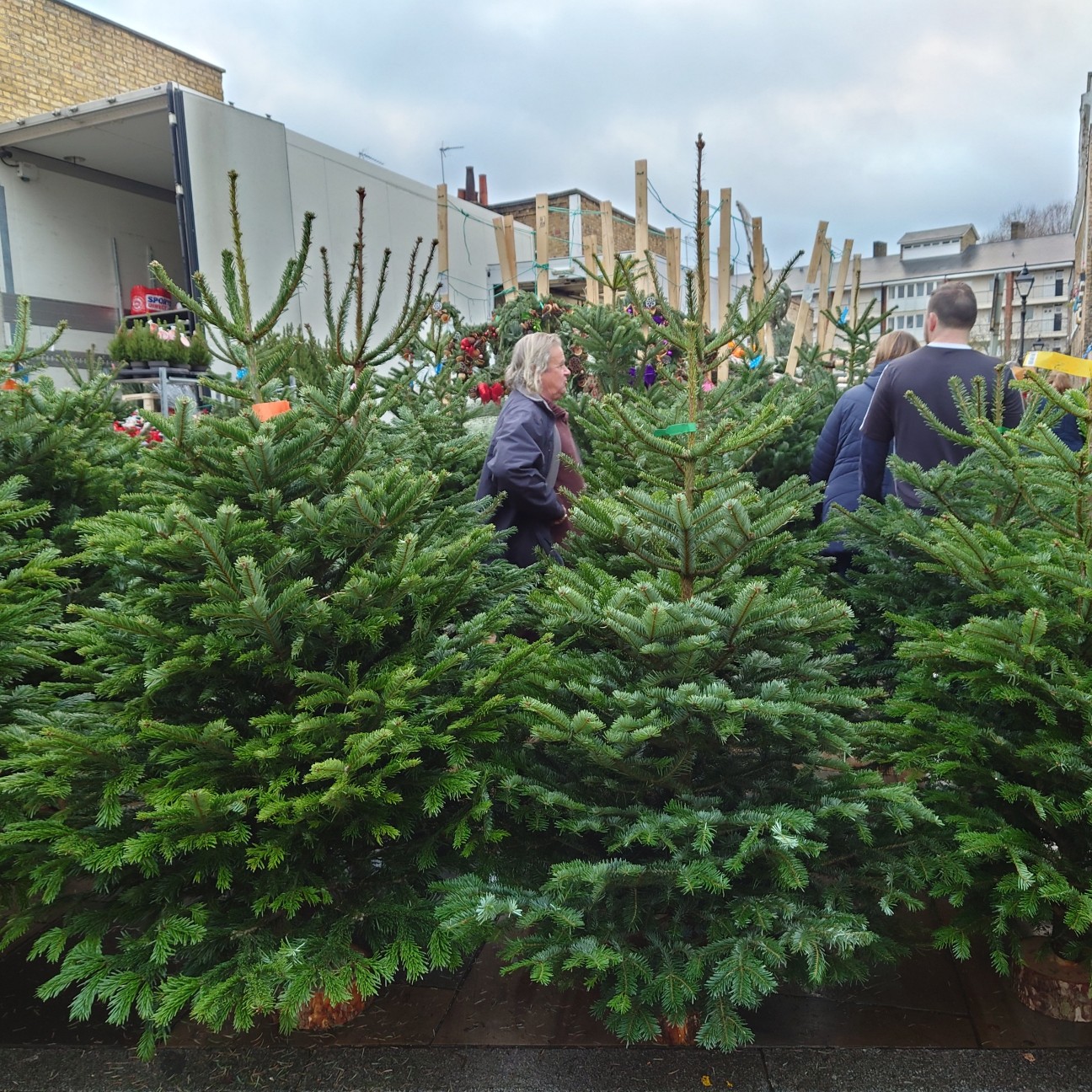 f:id:tomoeagle:20211216065707j:plain