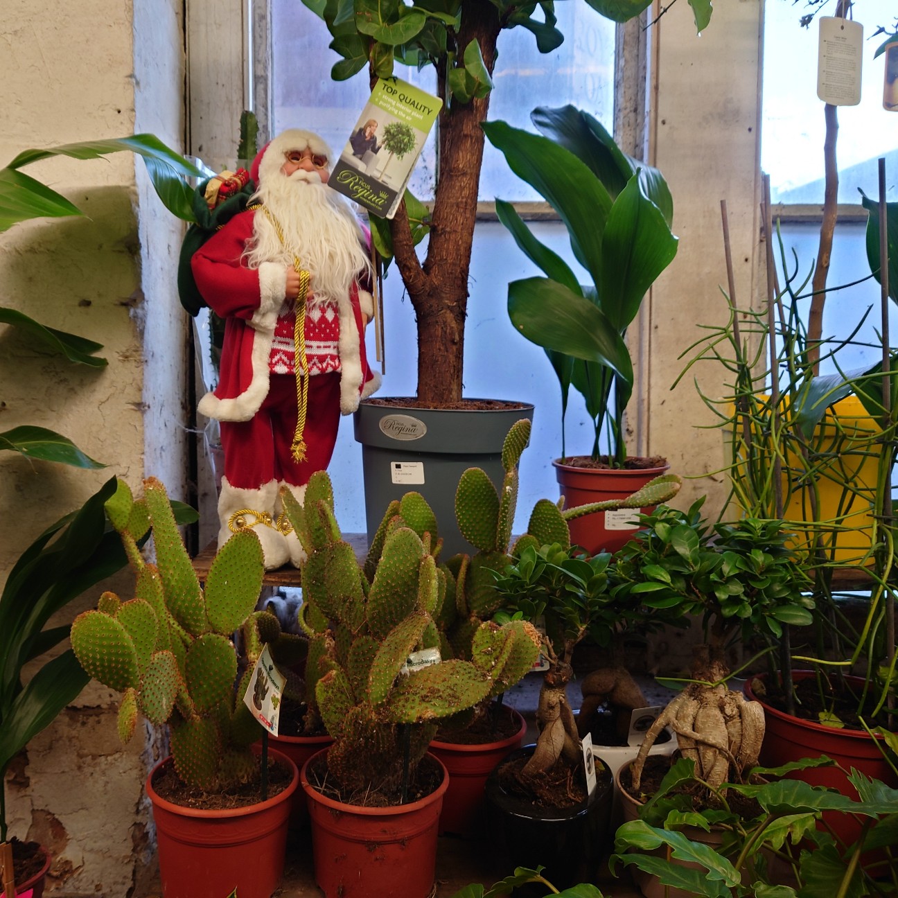 f:id:tomoeagle:20211216065719j:plain