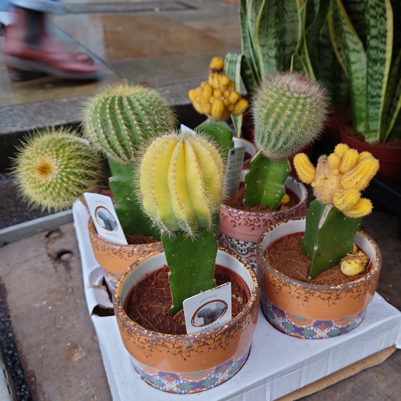 f:id:tomoeagle:20211216065720j:plain