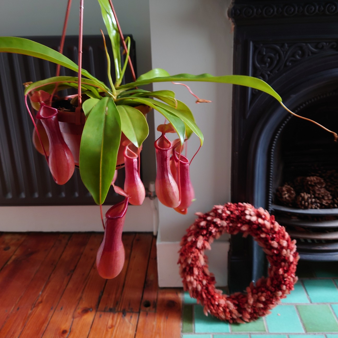 f:id:tomoeagle:20211216065828j:plain