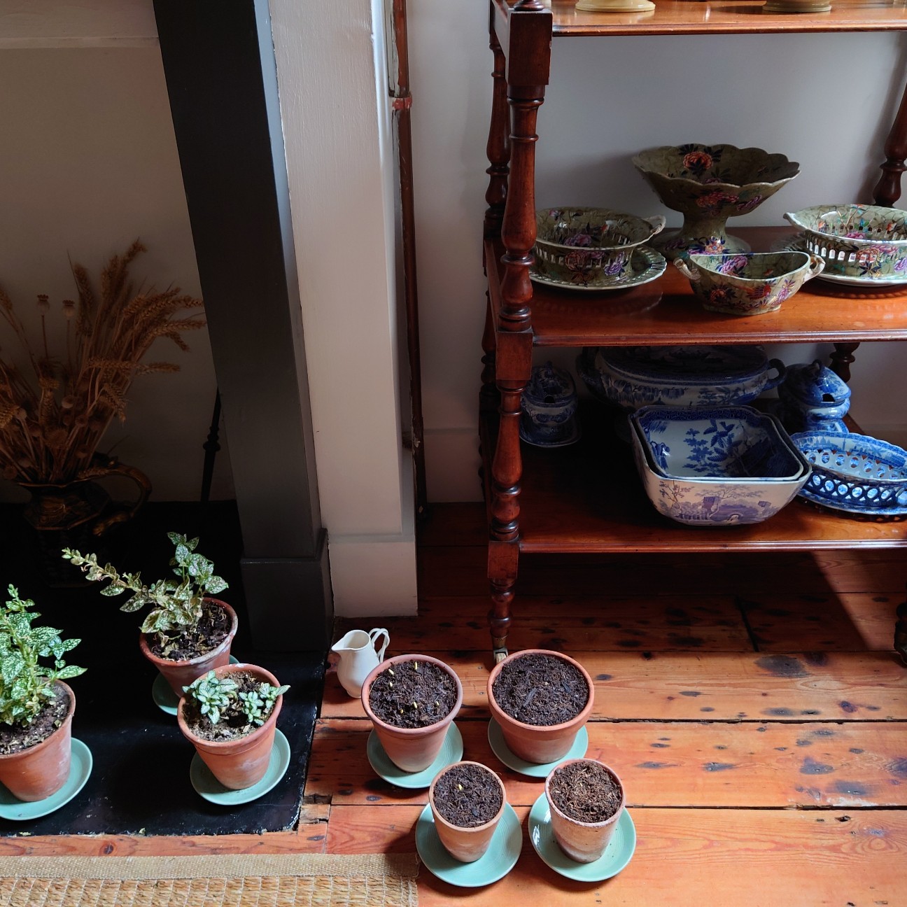 f:id:tomoeagle:20211216065834j:plain