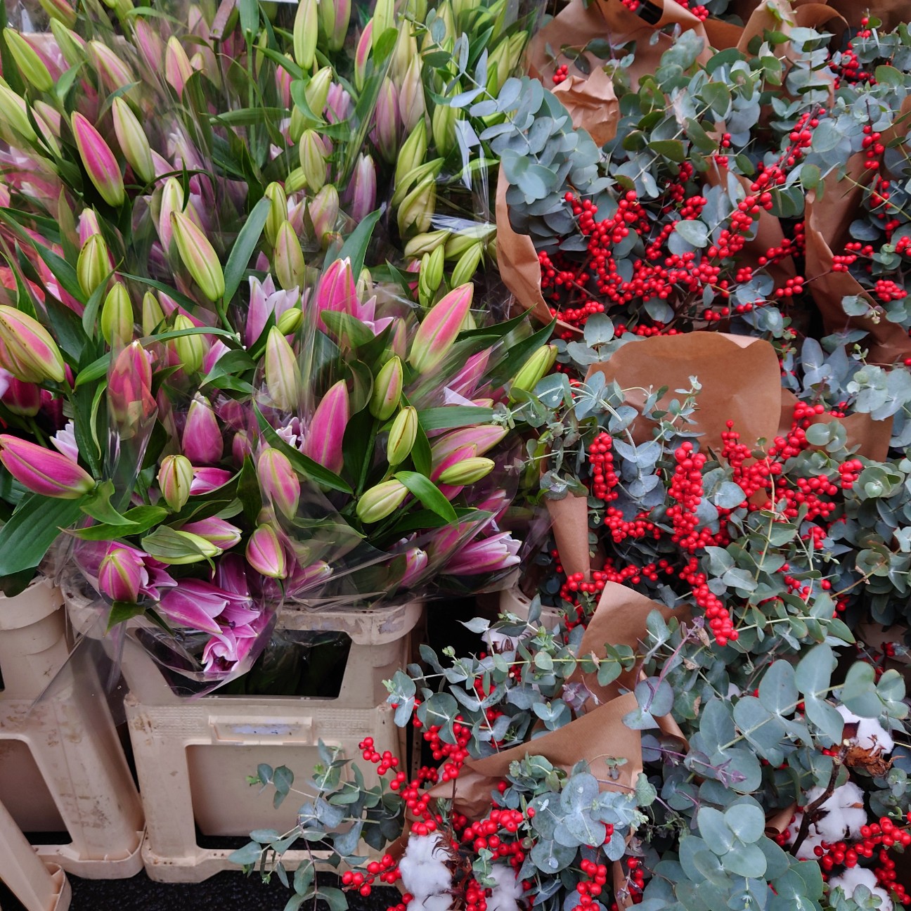 f:id:tomoeagle:20211216071635j:plain