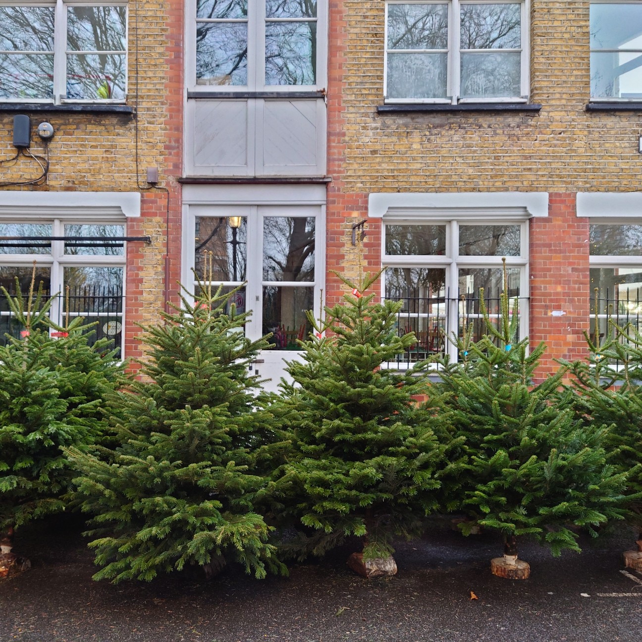 f:id:tomoeagle:20211217075147j:plain