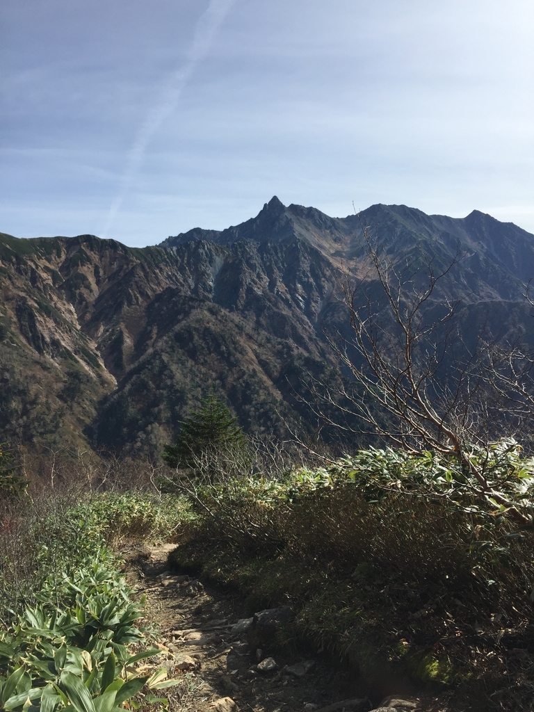 f:id:tomoeit:20190130011402j:plain