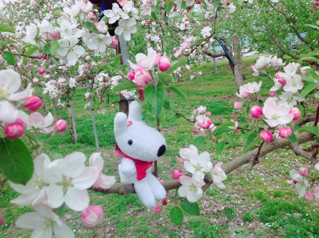 f:id:tomoekun:20170610150139j:plain