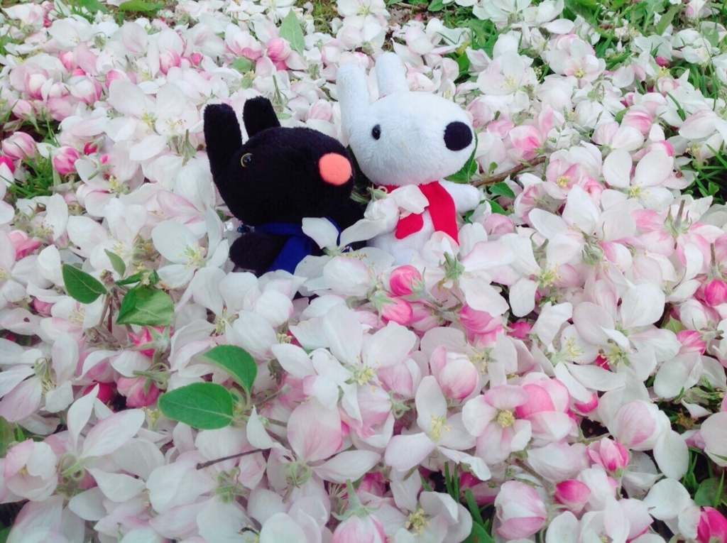 f:id:tomoekun:20170610150342j:plain