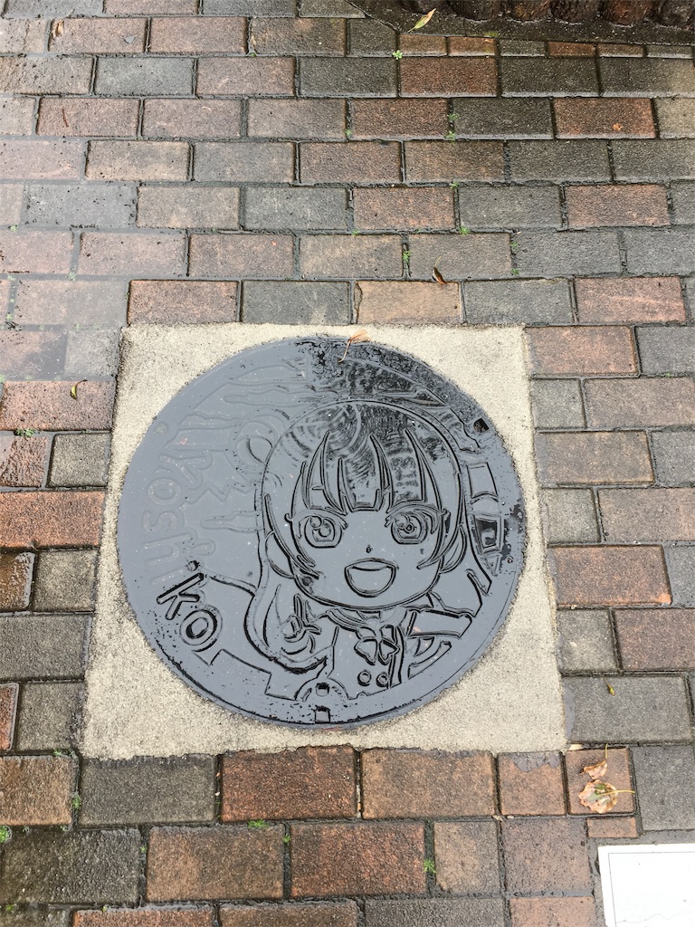 f:id:tomoemamiru:20190307001456j:image f:id:tomoemamiru:20190307001456j:image