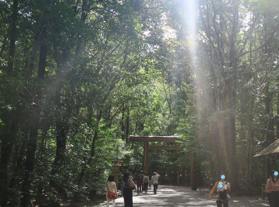 f:id:tomoeri12:20191029144355j:plain