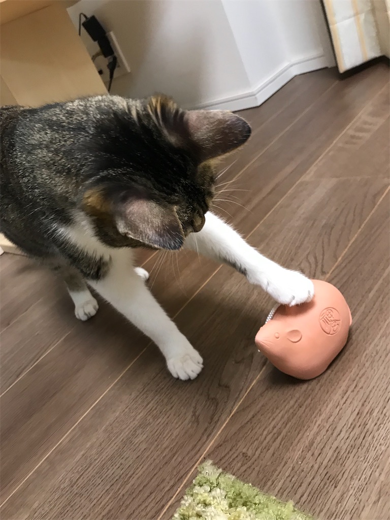 f:id:tomoeri12:20191029224844j:image