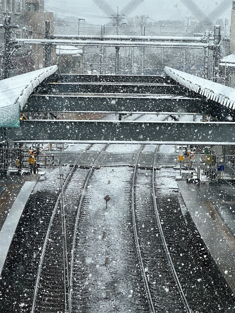 f:id:tomoeri12:20250319122512j:image