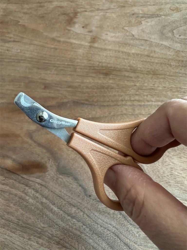 f:id:tomoeri12:20250908095720j:image