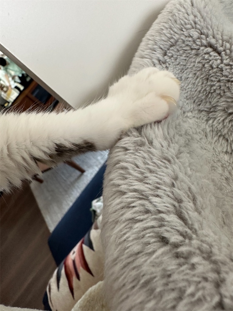 f:id:tomoeri12:20250908100113j:image