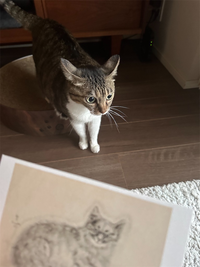 f:id:tomoeri12:20251126055805j:image