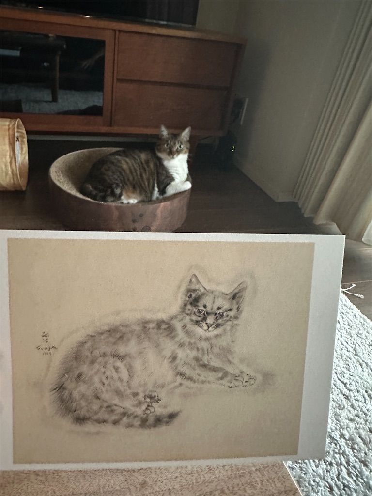 f:id:tomoeri12:20251126055811j:image