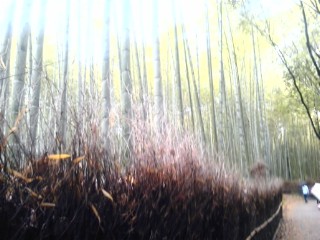 20120502143851