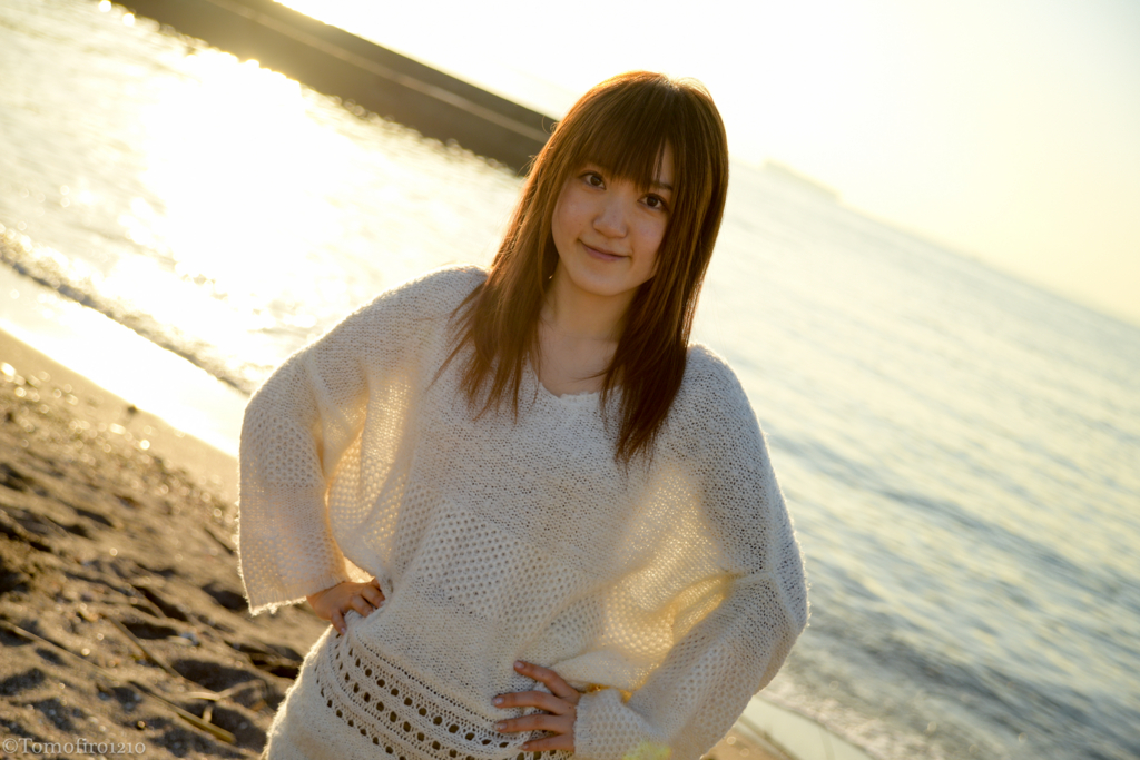 f:id:tomofiro1210:20170105175255j:plain f:id:tomofiro1210:20170105175255j:plain