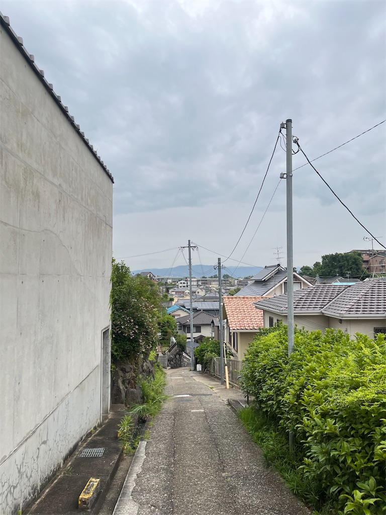 f:id:tomofumi1981:20260616085743j:image f:id:tomofumi1981:20260616085743j:image