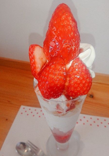 静岡のなかじま園 農園カフェのパフェが至高 口コミ ともとはるの 何して遊ぶ