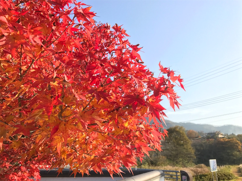 f:id:tomohiko37_i:20161112225953j:image f:id:tomohiko37_i:20161112225953j:image