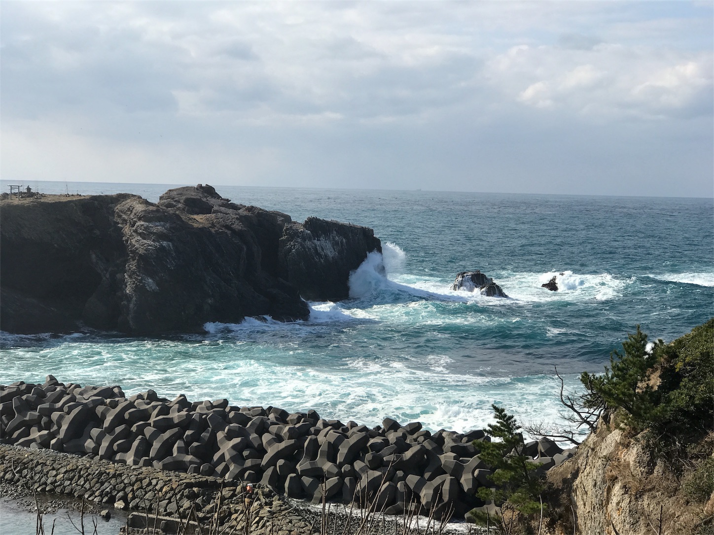f:id:tomohiko37_i:20170121221418j:image f:id:tomohiko37_i:20170121221418j:image