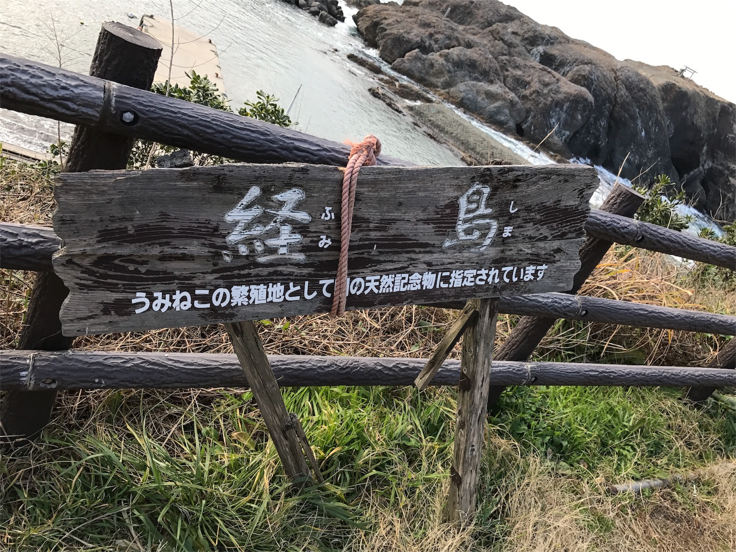 f:id:tomohiko37_i:20170121224406j:image f:id:tomohiko37_i:20170121224406j:image