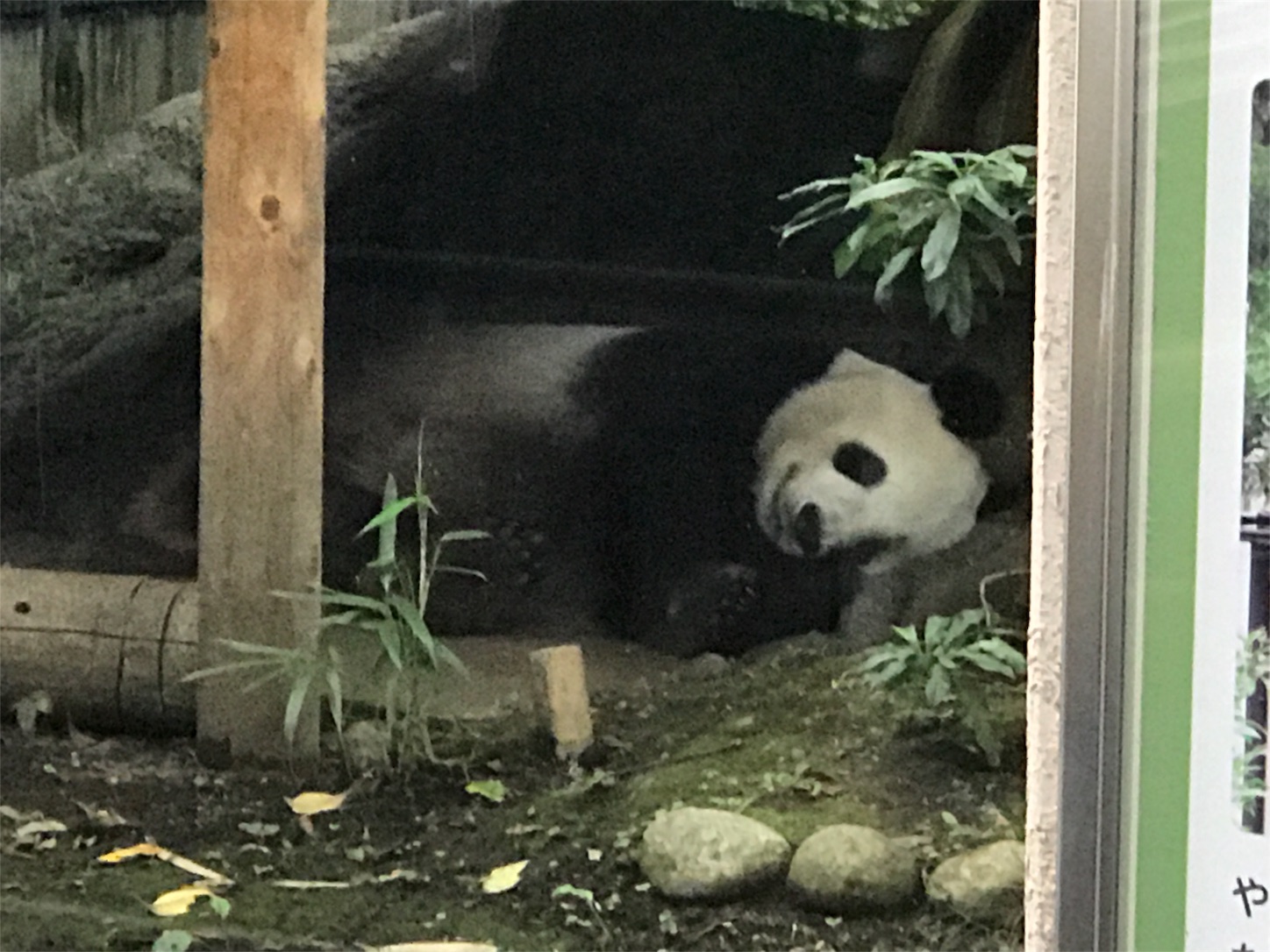 f:id:tomohiko37_i:20170819170504j:image f:id:tomohiko37_i:20170819170504j:image