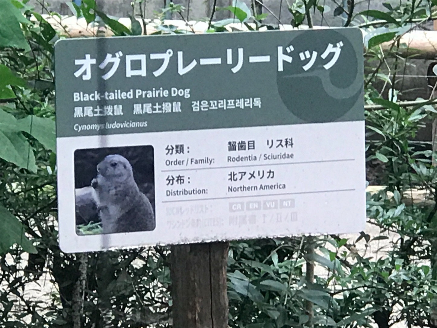 f:id:tomohiko37_i:20170819171638j:image f:id:tomohiko37_i:20170819171638j:image
