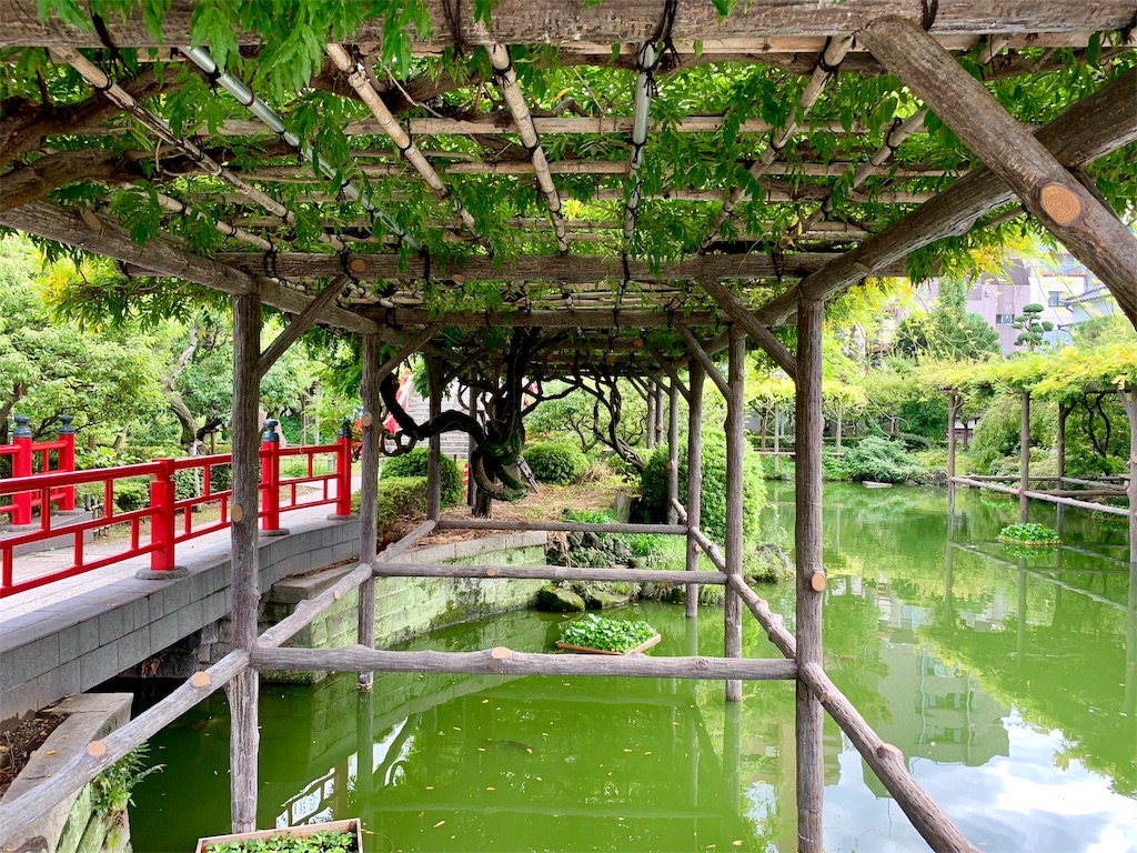 f:id:tomohiko37_i:20180925060541j:image f:id:tomohiko37_i:20180925060541j:image